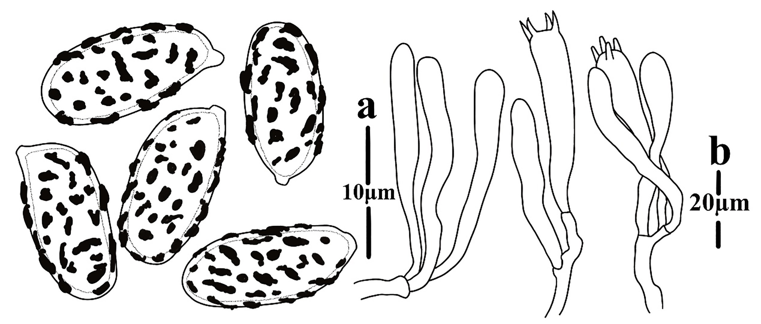 Figure 104